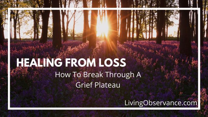 Healing From Loss Healing From Loss