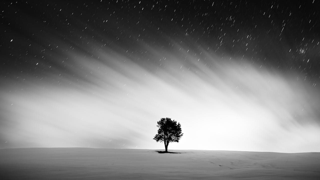 about-01