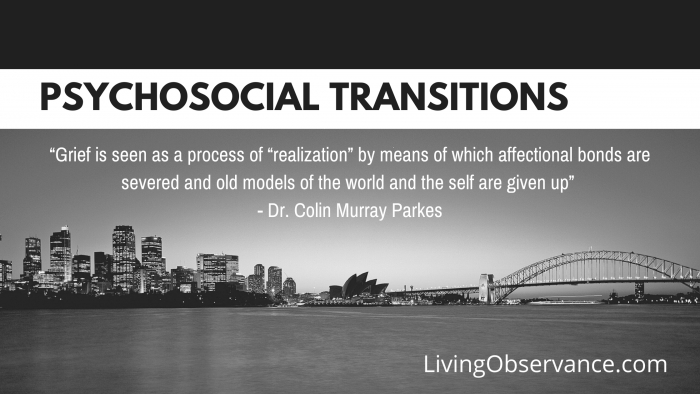 Psychosocial Transitions Theory Psychosocial Transitions Theory